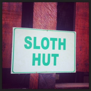 sloth hut